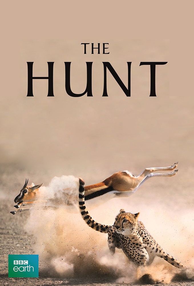 مستند شکار دوبله فارسی - The Hunt 2015